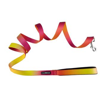 Ombre Dog Leash Raspberry Pink Orange