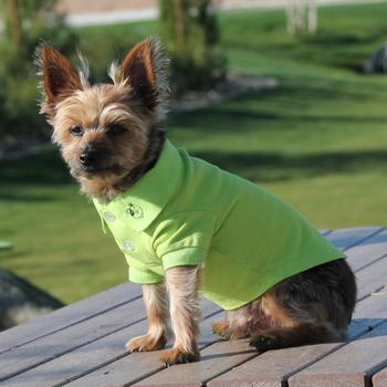 solid dog polo green flash