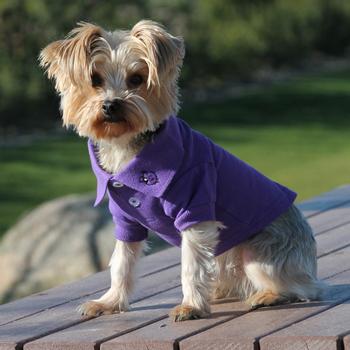 Solid dog polo ultra violet