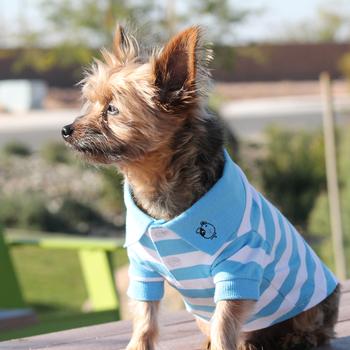 striped dog polo shirt blue Niagara white