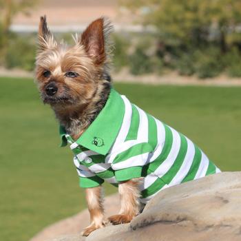 striped dog polo green and white