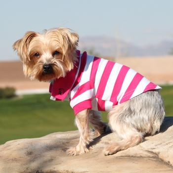 striped dog polo white and pink