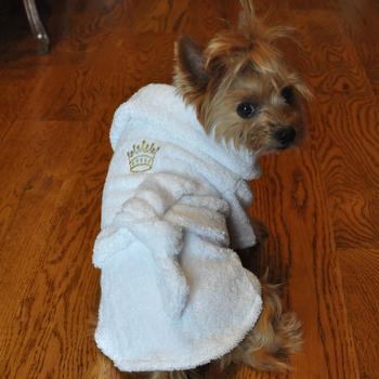 White Crown Cotton Dog Bathrobe